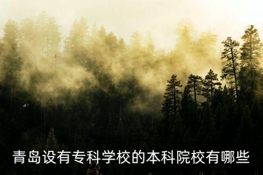 青島招收?？粕谋究圃盒＃鄭u設有?？茖W校的本科院校有哪些...